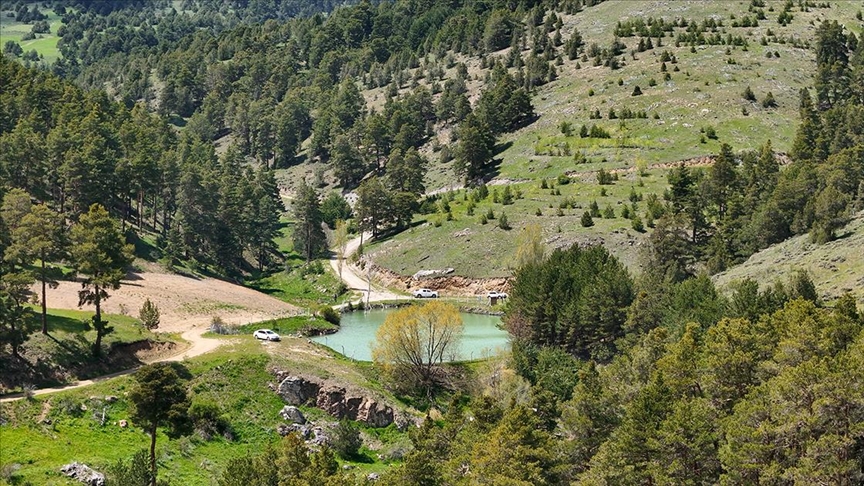 Yozgat'ta 1800 rakımdaki Çerçialan Göleti doğaseverleri ağırlıyor