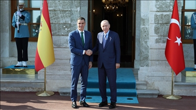Oppression in Palestine will come to an end through joint efforts, Turkish president tells Spanish premier