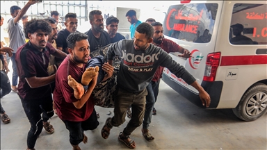 Israeli acts in Gaza amount to 'ethnic cleansing, genocide': Council of Europe rapporteur