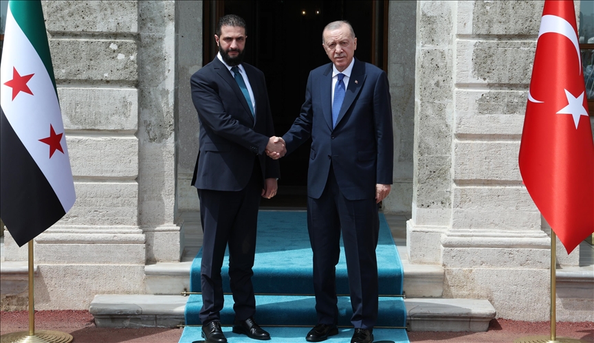 Turkish president meets with Syrian counterpart in Istanbul