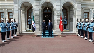 الرئيس أردوغان يلتقي نظيره السوري في إسطنبول 