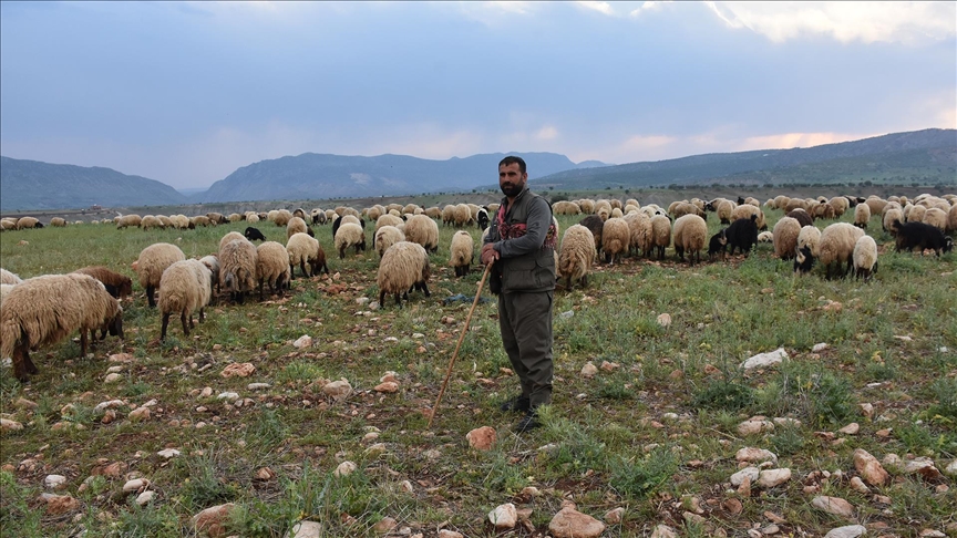 舰谋谤苍补办'ta göçerler hayvanlar谋n谋 yaylalara götürmek için yola koyuldu