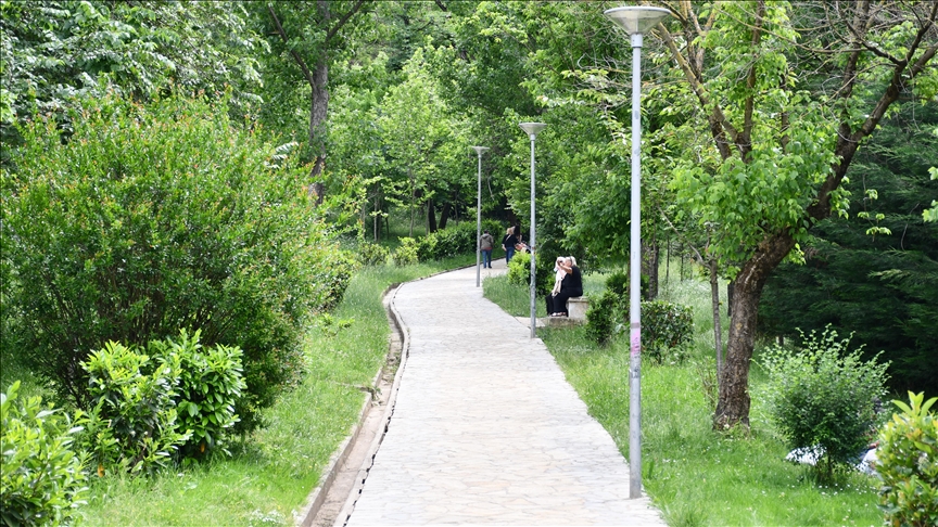 Parku i Madh i Liqenit të Tiranës   mushkëria e qytetit 