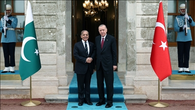 Turkish President Erdogan receives Pakistani Prime Minister Sharif in Istanbul