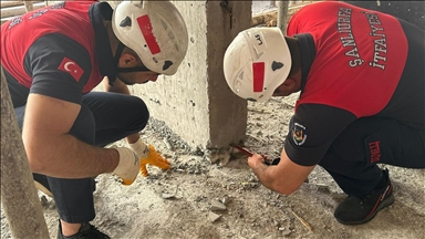 Şanlıurfa'da beton kolonun altında mahsur kalan kedi yavrusu kurtarıldı