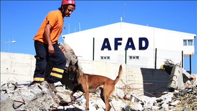 AFAD'ın Köpekli Arama Timi Çalışma ve Sınav Yönetmeliği Resmi Gazete'de
