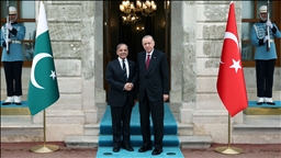 Turkish President Erdogan receives Pakistani Prime Minister Sharif in Istanbul
