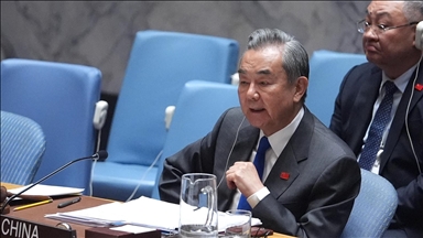 China to support African countries' core interests and major concerns: Top diplomat