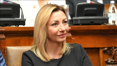 INTERVIEW-  Serbian minister hails family-focused policies as fertility rate climbs