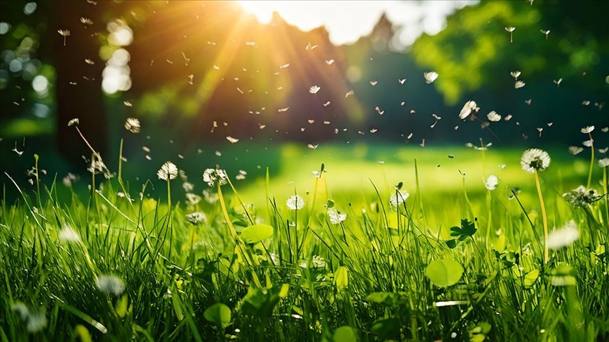 İklim değişikliği, polen mevsimini de etkiledi
