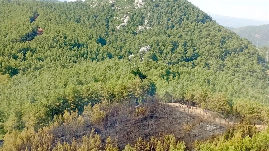 Marmaris'te çıkan orman yangını kontrol altına alındı
