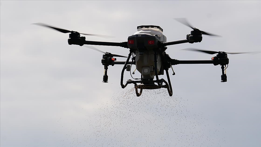 Pirinç üretimiyle öne çıkan Գı'ta dronla çeltik ekimi yapılıyor