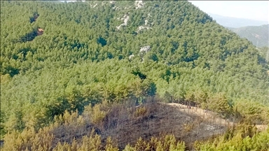 Marmaris'te çıkan orman yangını kontrol altına alındı