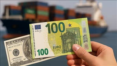 Uzmanlar avronun, doların alternatifi olma ihtimalini değerlendirdi