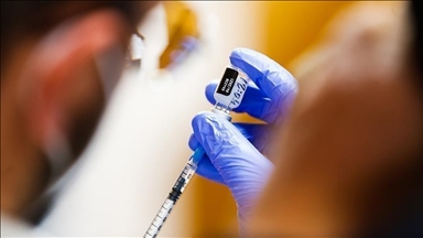 Trump administration halts bird flu vaccine project