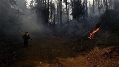 Canada : État d'urgence au Manitoba face à la multiplication des incendies de forêt