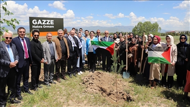 Filistin halkının yaşadığı acılara dikkati çekmek için "Gazze Hatıra Ormanı" oluşturuldu
