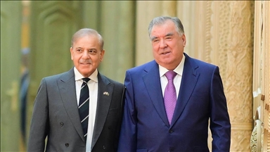 Tajik, Pakistani leaders discuss bilateral cooperation, international issues