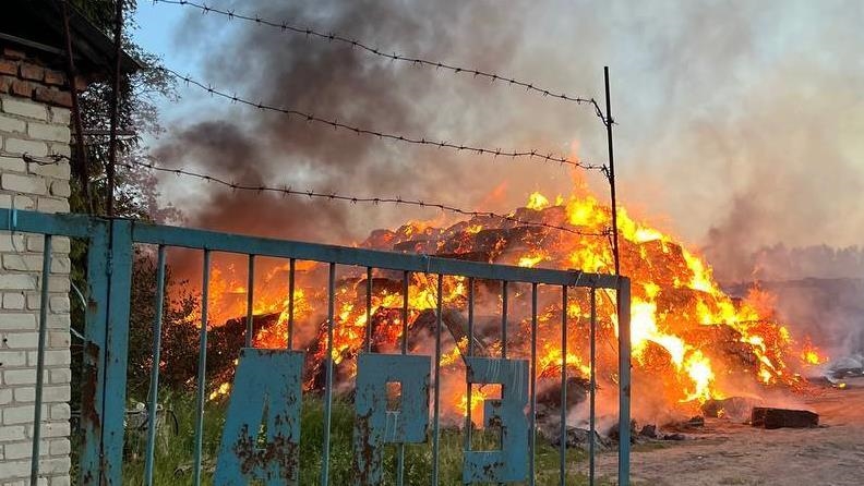 При атаке БПЛА в Курской области РФ пострадали 14 человек