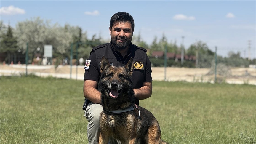 Görevini tamamlayan emniyetin bomba arama köpeği "Artur" ekip arkadaşından ayrılmayacak