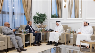 مباحثات قطرية إفريقية لحل الأزمة بين رواندا والكونغو الديمقراطية