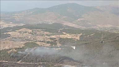 İzmir'in Aliağa ilçesinde çıkan orman yangını kontrol altına alındı