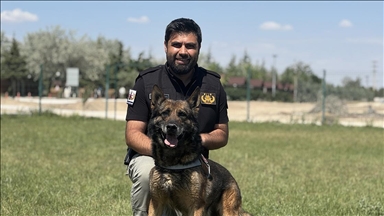 Görevini tamamlayan emniyetin bomba arama köpeği "Artur" ekip arkadaşından ayrılmayacak