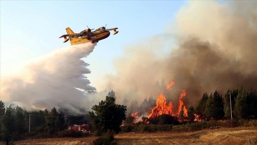 الجزائر تستأجر 12 طائرة وتُفعل مخططا جويا لمكافحة حرائق الصيف
