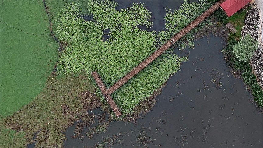 Sakarya ve Düzce bayramda misafirlerini mavi yeşil yolculuğa çıkaracak
