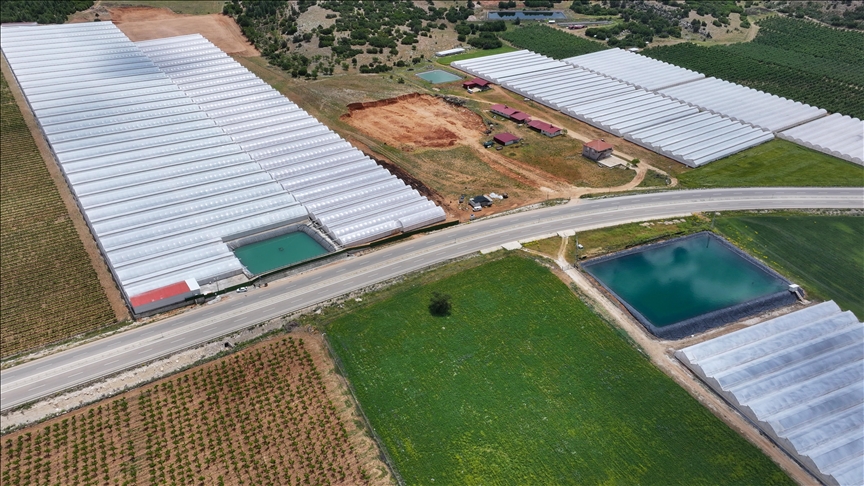 Seracılığın merkezi Elmalı'da kuraklığa "yağmur suyu hasadı" ile çözüm