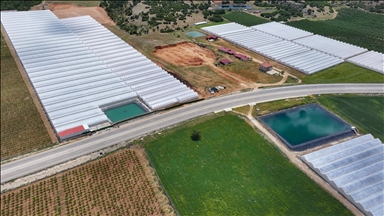 Seracılığın merkezi Elmalı'da kuraklığa "yağmur suyu hasadı" ile çözüm 