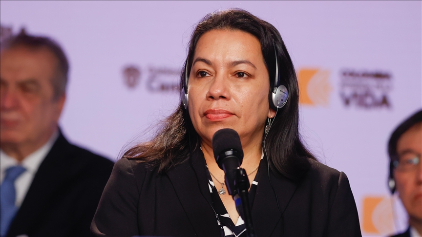 Guyana assumes UN Security Council presidency for June