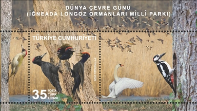 PTT'den "Dünya Çevre Günü (İğneada Longoz Ormanları Milli Parkı)" konulu anma pulu ve ilk gün zarfı
