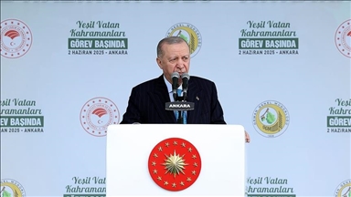 Serokomar Erdogan: "Em ê bi awayê herî xurt hebûna daristanên xwe biparêzin"