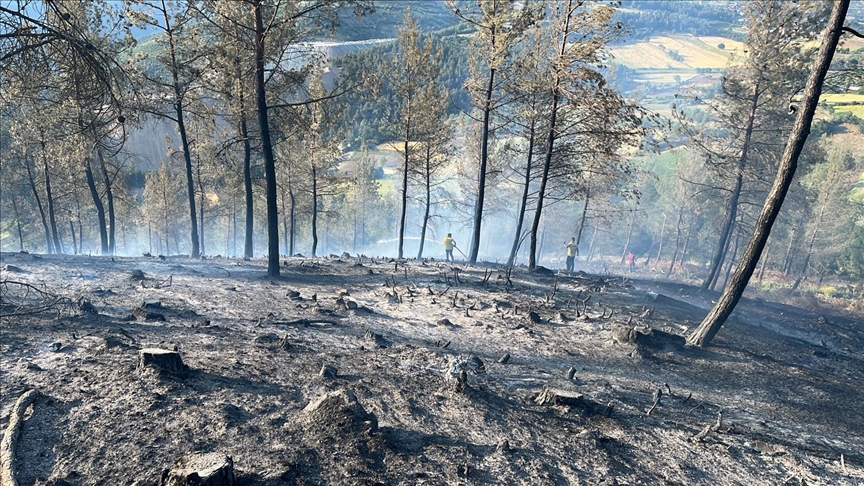 Balıkesir'de çıkan orman yangını kontrol altına alındı