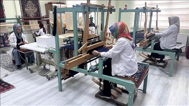 Norduz koyunu yününden üretilen kumaşlar, giysi ve aksesuara dönüştürülecek