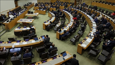 UN General Assembly elects 5 non-permanent members to Security Council