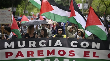 Over 400 Spanish writers call for 'immediate end' to 'indiscriminate' Israeli attacks on Gaza