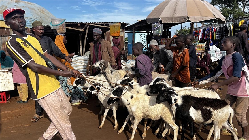 Nijer'in ECOWAS'tan ayrılması Nijerya'daki kurbanlık fiyatlarını vurdu