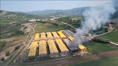 Ankara'da yumurta üretim tesisinde ç谋kan 测补苍驳谋苍da binlerce tavuk telef oldu