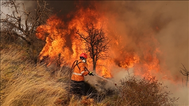 Greek court hands down heavy sentences over deadly 2018 Mati wildfire