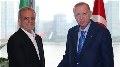 أردوغان وبزشكيان يبحثان العلاقات الثنائية وقضايا إقليمية ودولية