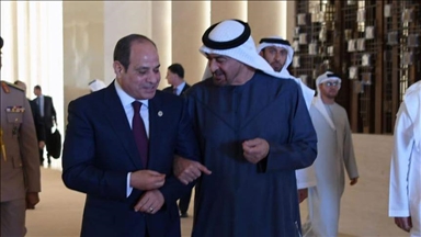 رئيسا مصر والإمارات يؤكدان أهمية وقف النار فورا في غزة