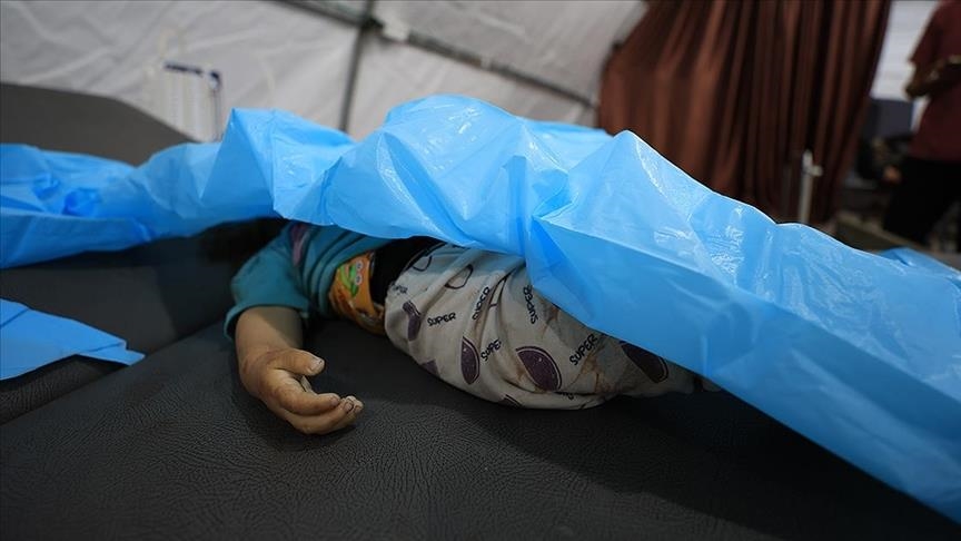 54 ألفا و677 قتيلا حصيلة العدوان الإسرائيلي بغزة منذ 7 أكتوبر 2023 