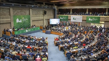 African Union calls for ‘balanced, evidence-based’ US approach to travel ban