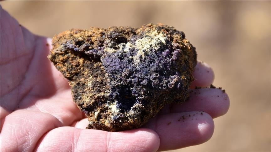 Japan to propose cooperation on rare earth elements in US tariff talks: Report