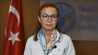 FAO'ya göre, her yıl 600 milyon kişi gıda kaynaklı hastalıklarla savaşıyor