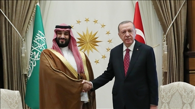 أردوغان وابن سلمان يبحثان العلاقات الثنائية وقضايا إقليمية ودولية