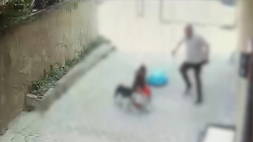 İٲԲܱ'da pitbull cinsi köpeğin saldırdığı çocuk yaralandı
