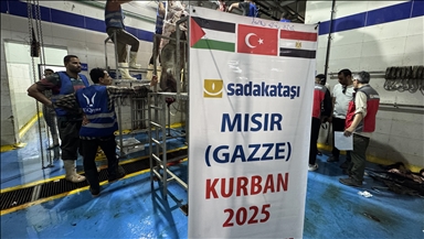 Sadakataşı Derneği, Gazze Şeridi’ne ulaştırmak için Mısır’da binlerce kurban kesti